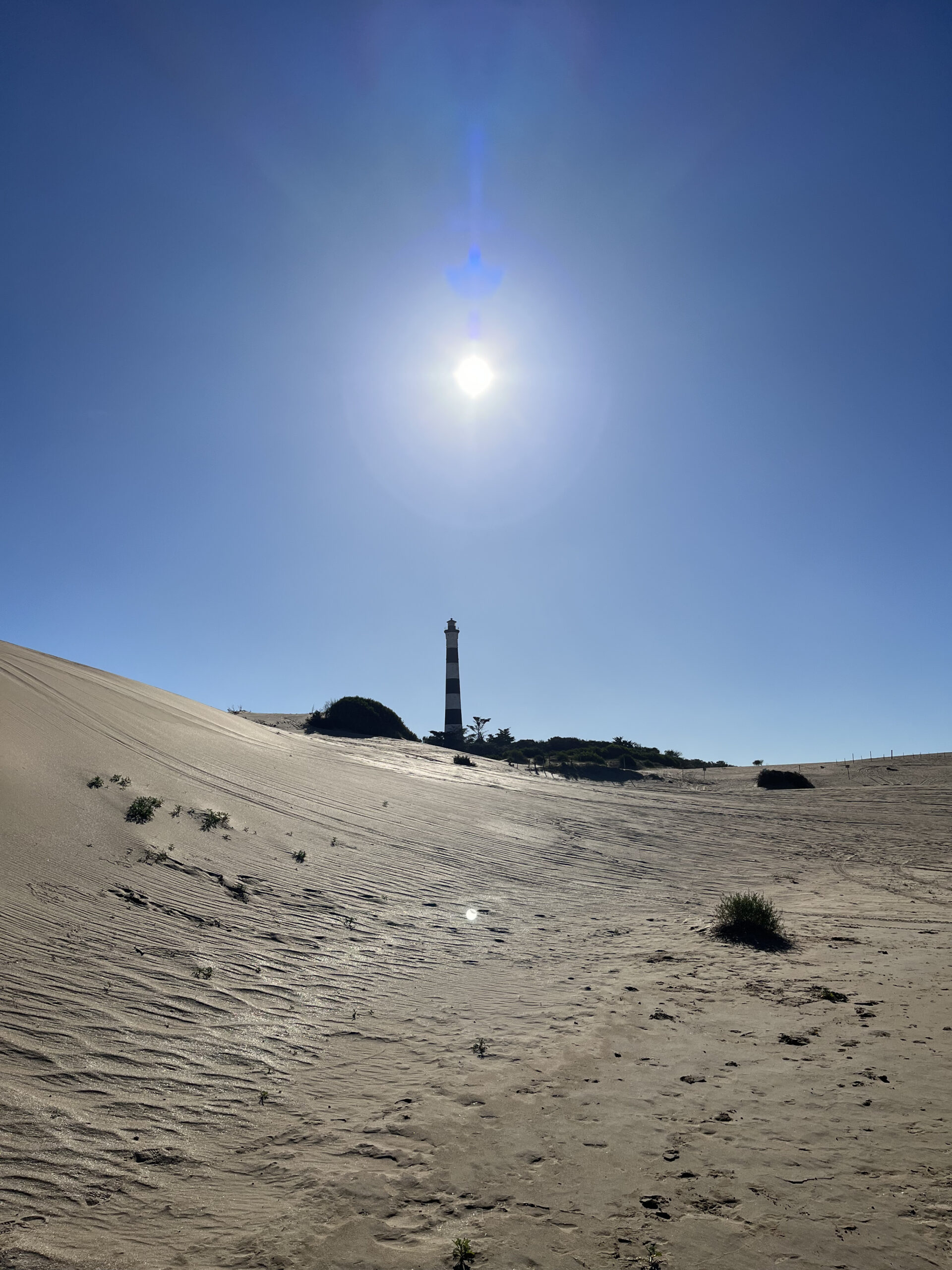Excursión al Faro Querandí